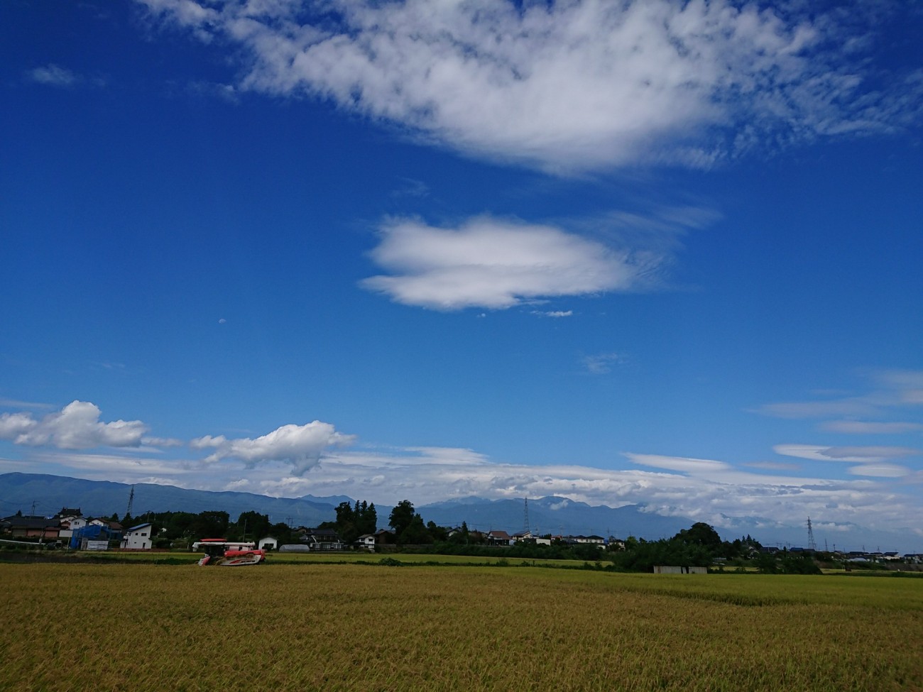 緑香村・美山錦の稲刈り。