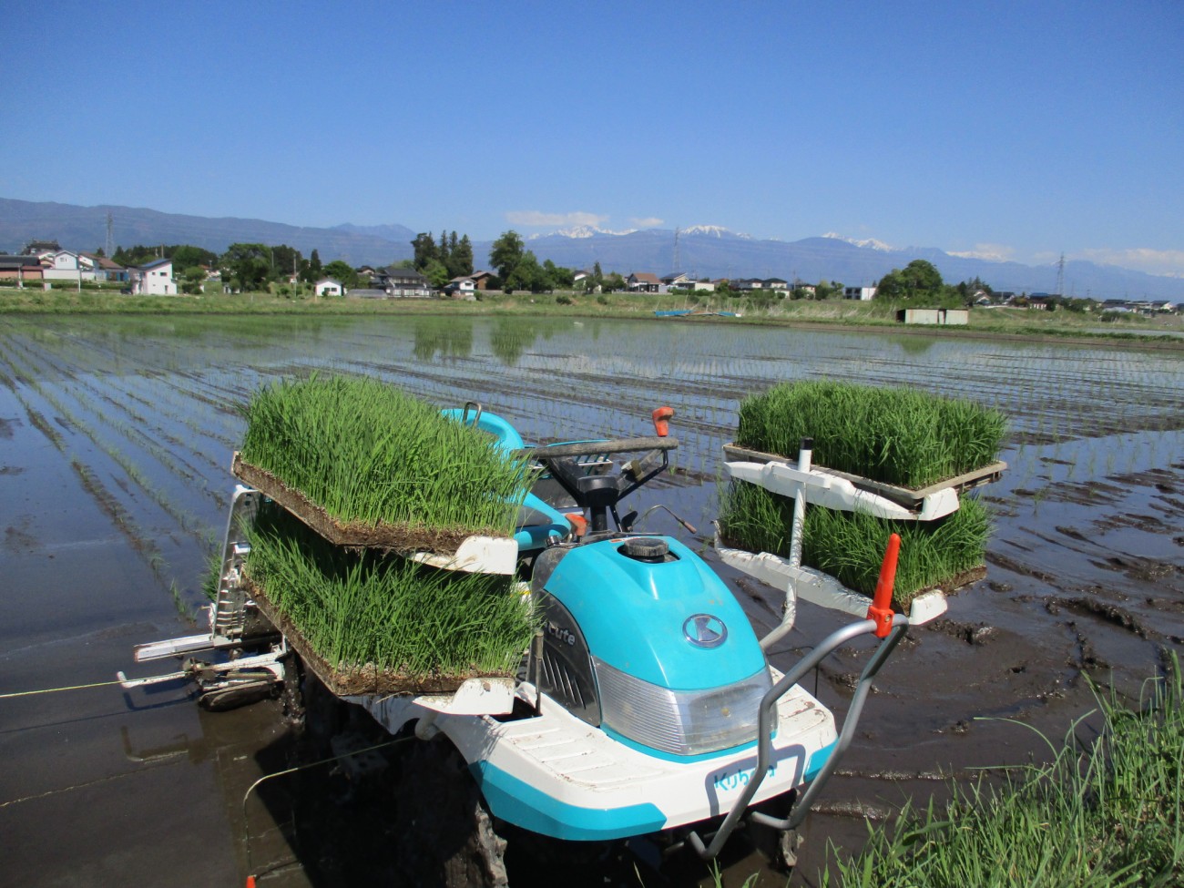 緑香村・美山錦の田植え